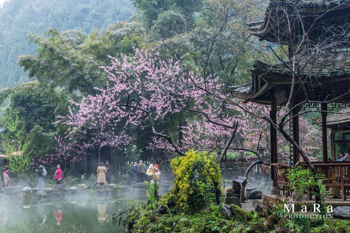【情系桑榆爱满天】德州市陵城区丁庄镇前王村为全村七十周岁以上老人及低保户发放新春福利